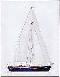 Amber 40