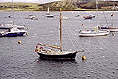 Photo - Braye Harbour, Alderney