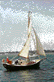 Photo - Downwind